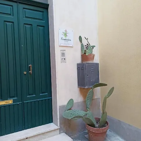 Ficodindia 4* Sortino
