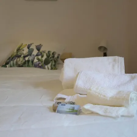 Guest house Ficodindia *