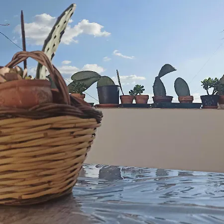Ficodindia Guest house