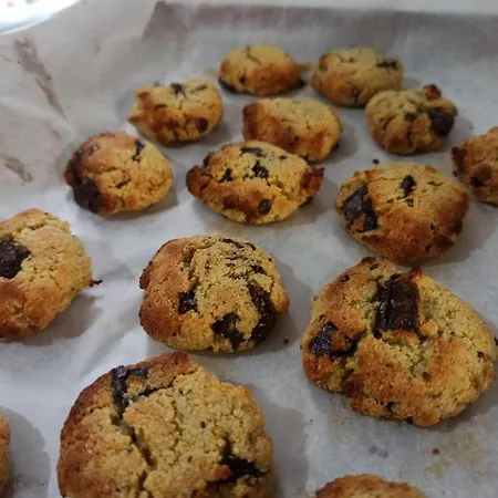 Ficodindia Gæstehus