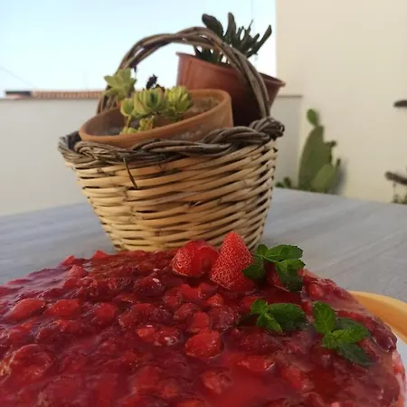 Ficodindia Gæstehus 4*