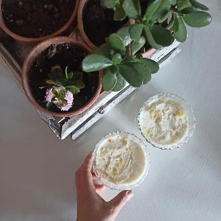 Ficodindia Gæstehus