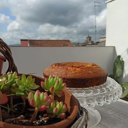 Ficodindia 4* Sortino