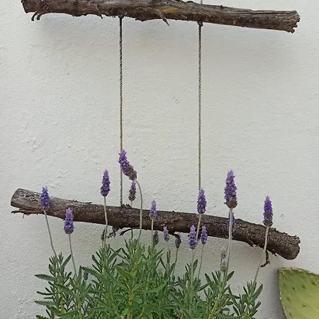 Gæstehus Ficodindia Sortino