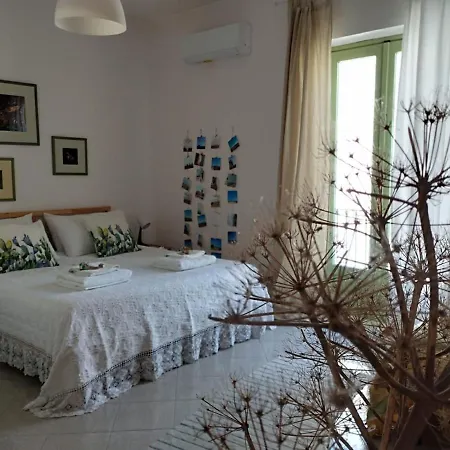 Ficodindia Guest house