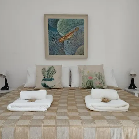 Guest house Ficodindia *
