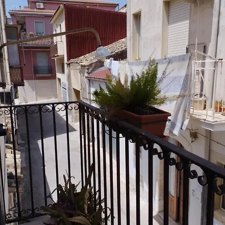 Guest house Ficodindia