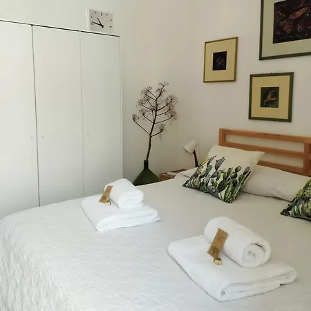 Ficodindia 4* Sortino