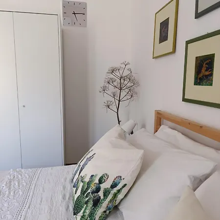 Ficodindia 4* Sortino