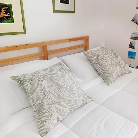 Ficodindia Guest house *