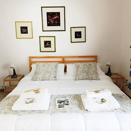Guest house Ficodindia *
