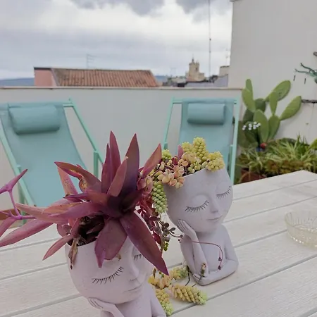 Ficodindia 4* Sortino